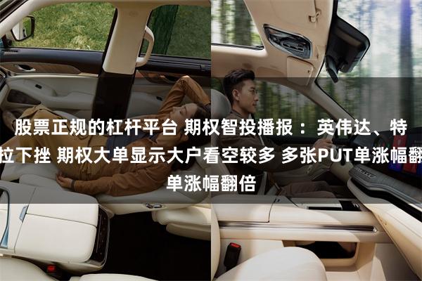 股票正规的杠杆平台 期权智投播报 ：英伟达、特斯拉下挫 期权大单显示大户看空较多 多张PUT单涨幅翻倍