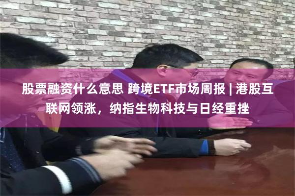 股票融资什么意思 跨境ETF市场周报 | 港股互联网领涨，纳指生物科技与日经重挫