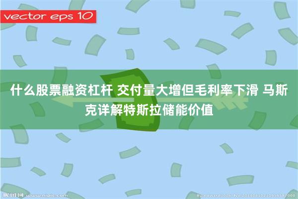 什么股票融资杠杆 交付量大增但毛利率下滑 马斯克详解特斯拉储能价值