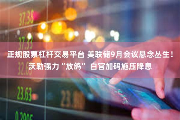 正规股票杠杆交易平台 美联储9月会议悬念丛生！沃勒强力“放鸽” 白宫加码施压降息