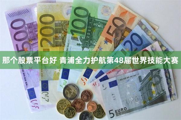 那个股票平台好 青浦全力护航第48届世界技能大赛