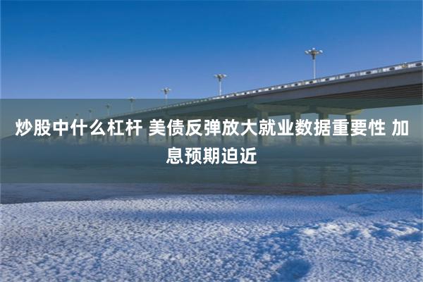 炒股中什么杠杆 美债反弹放大就业数据重要性 加息预期迫近